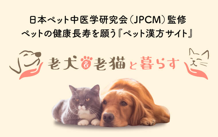 老犬&老猫と暮らす