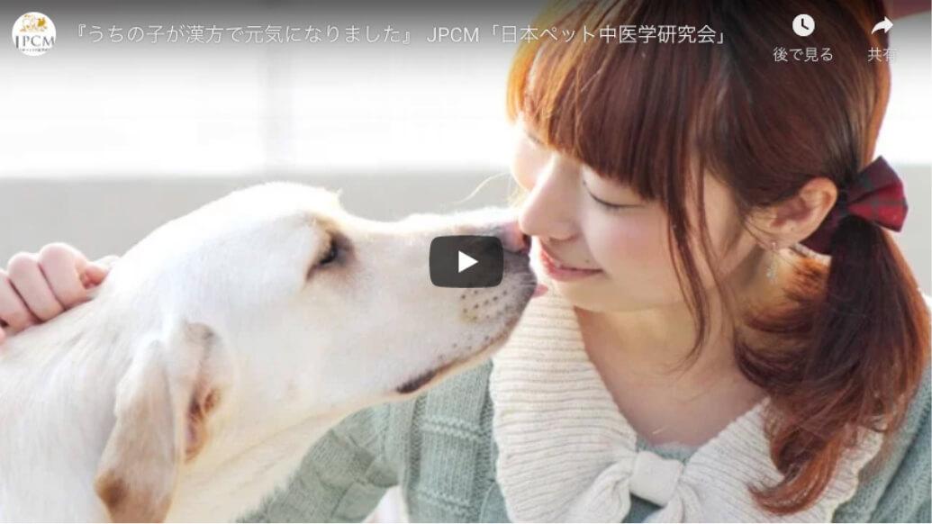 うちの子が漢方で元気になりました