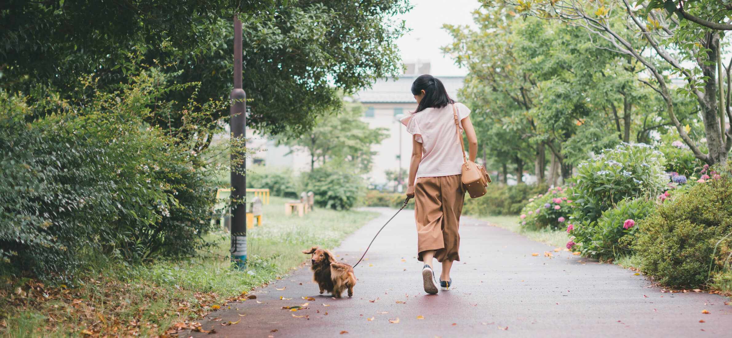 ペットとの楽しい時間をできるだけ長く