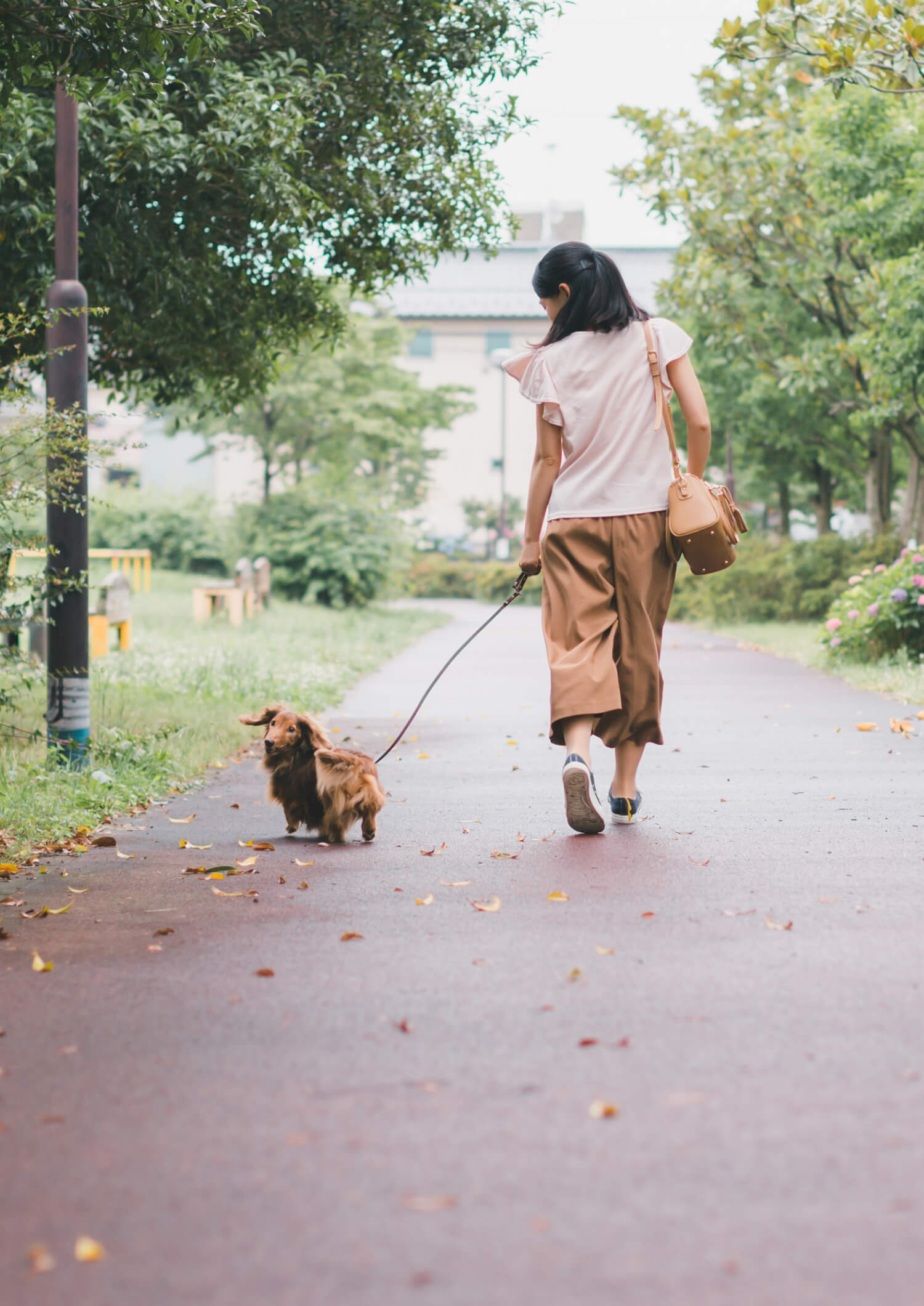 ペットとの楽しい時間をできるだけ長く